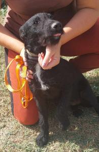 0573-Ella-19