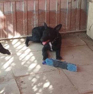 0573-Ella-20