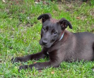 0574 Molly 1