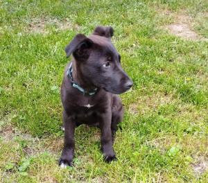 0574 Molly 11
