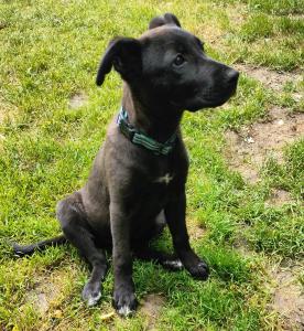 0574 Molly 12