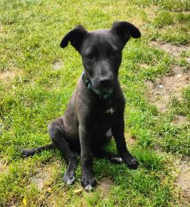 0574 Molly 13