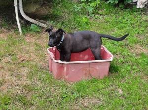0574 Molly 14