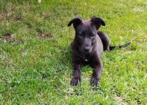 0574 Molly 15