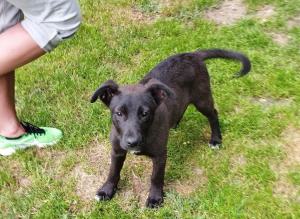 0574 Molly 16