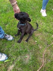 0574 Molly 17
