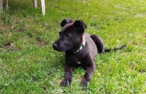 0574 Molly 18