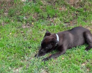 0574 Molly 19