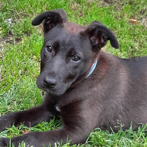 0574 Molly 1A
