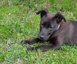 0574 Molly 2
