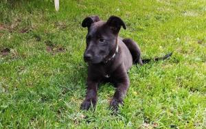0574 Molly 20