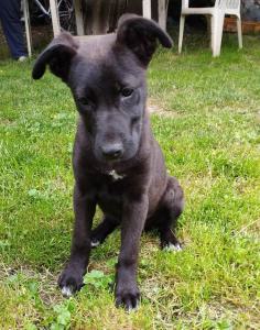 0574 Molly 21