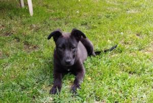 0574 Molly 22