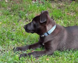 0574 Molly 23