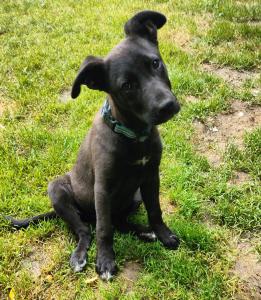 0574 Molly 3