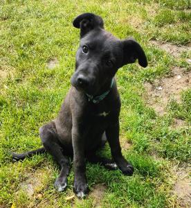 0574 Molly 5
