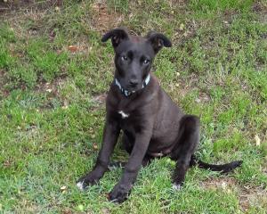 0574 Molly 6