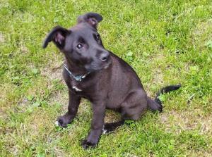 0574 Molly 7