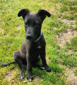 0574 Molly 8