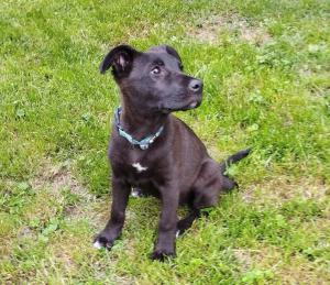 0574 Molly 9