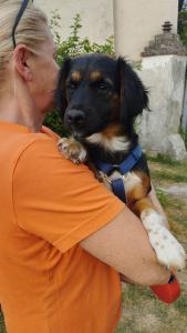 0580 Borzi 5