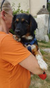 0580 Borzi 6