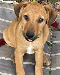 0581-Levi-20
