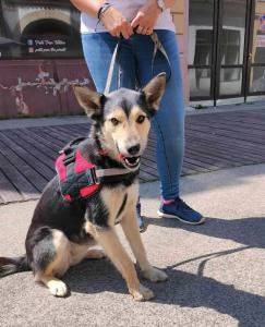 0584-Maya-29