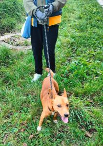 0587-Theodor-20