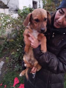 0590-Beni-2
