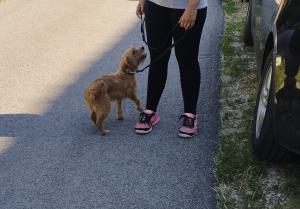0594-Mia-9