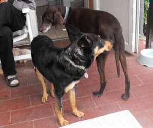 0607-Lucy-28