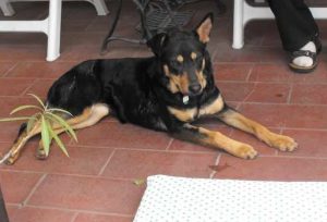 0607-Lucy-35