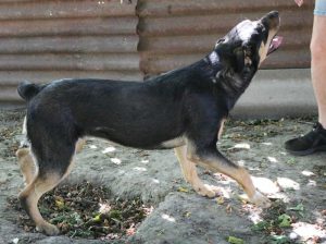 0607-Tami-59
