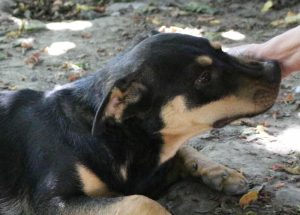 0607-Tami-64