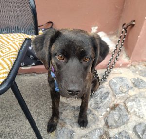 0616-Lola-12
