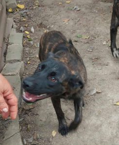 0616-Lola-4