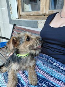 0626-Fueles-5