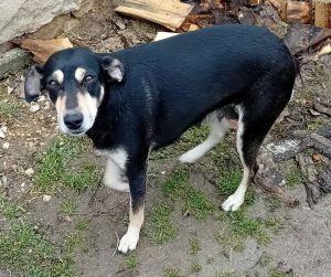 0626-Lueszi-u-Panna-Ma