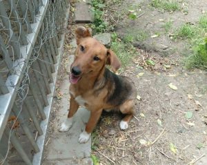 0629-Denis-2