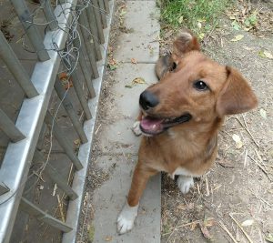 0629-Denis-3
