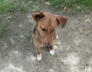 0629-Denis-4
