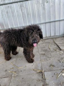 0630-Milo-1