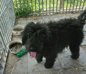 0630-Milo-2