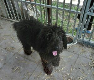 0630-Milo-8