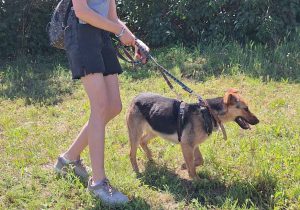 0632-Linda-10