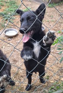 0633-Benni-3