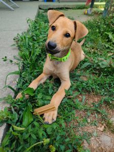 0635-Kira-2
