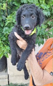 0638-Milo-12