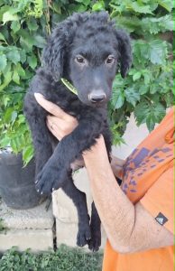 0638-Milo-5